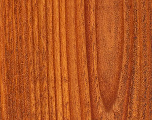 Fence Stain Contractor in Lincoln