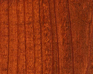 Fence Stain Contractor in Lincoln
